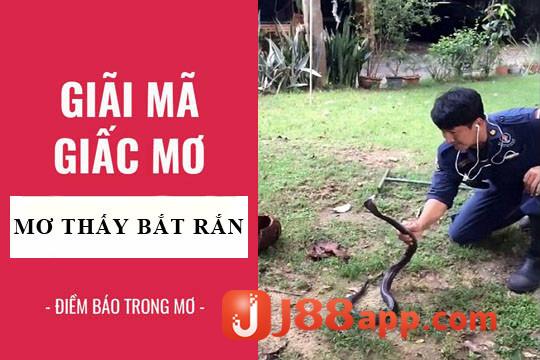 Nằm mơ thấy bắt rắn nên đánh lô gì? Giải mã giấc mơ J88 5 Nằm mơ thấy bắt rắn có điềm báo gì?